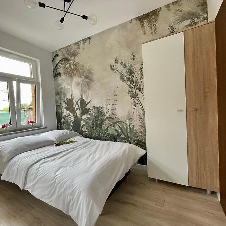 Studio Bielawa U Podnoza Gor Sowich Екстер'єр фото